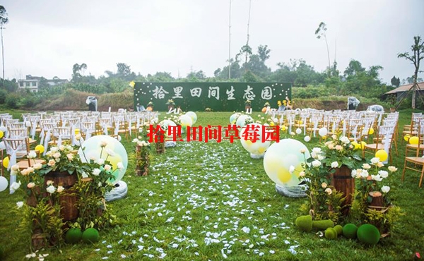 重庆近郊草坪婚礼